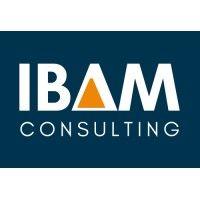 ibam consulting ★ a sunday times 100 best small company logo image