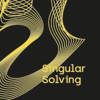 singular solving logo image