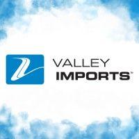 valley imports logo image