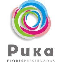 puka flowers logo image