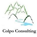 logo of Colpo Consulting Llc