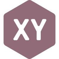 xy web solutions (xyws) logo image