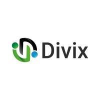 divix s.a.s. logo image