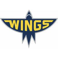 wings hc arlanda logo image