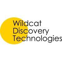 wildcat discovery technologies logo image