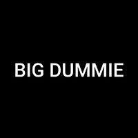 big dummie co logo image