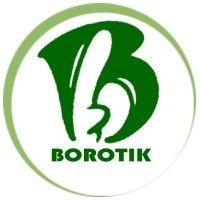 borotik industries logo image