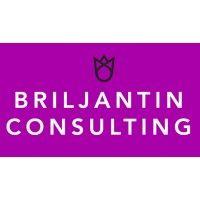 briljantin consulting