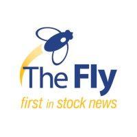 the fly logo image