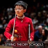 string theory schools logo image