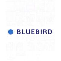 bluebird strategy logo image