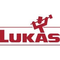 lukas-erzett vereinigte schleif-  und fräswerkzeugfabriken gmbh & co. kg logo image