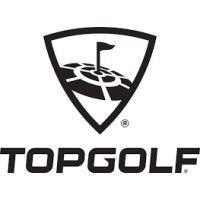 topgolf logo image