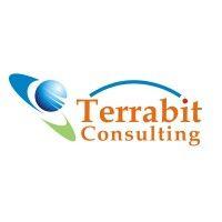 terrabit consulting