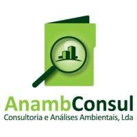 anambconsul, lda. logo image