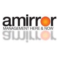 amirror group organizational development ltd.