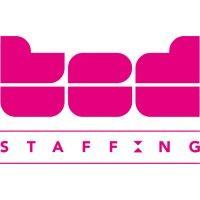 ted staffing logo image