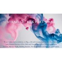 strategic risk partners