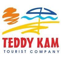 teddy kam logo image