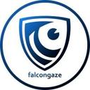 logo of Falcongaze