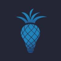 the pineapple agency logo image