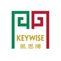 keywise capital management logo image