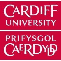 cardiff university school of engineering logo image