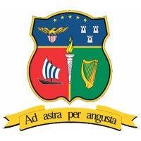 american college dublin logo image