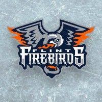 flint firebirds