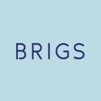 brigs, llc logo image