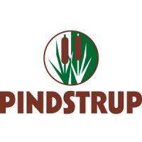 pindstrup logo image