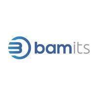 bamits logo image