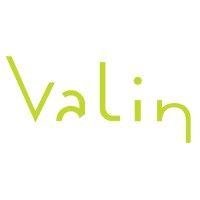 valin logo image