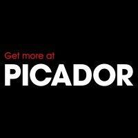 picador plc logo image