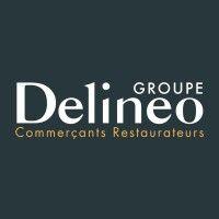 groupe delineo logo image