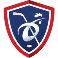 fédération française de hockey-sur-glace (ffhg) logo image