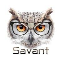 savant consultores logo image