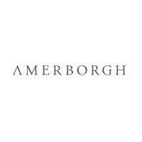 amerborgh international n.v. logo image