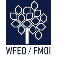 wfeo - world federation of engineering organizations logo image