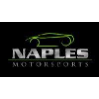 naples motorsports, inc. logo image