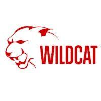 wildcat helicopters inc. logo image