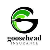 goosehead insurance - bish insurance agency