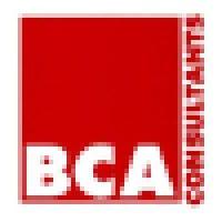 bca  consultants (qld)