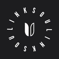 linksoul logo image