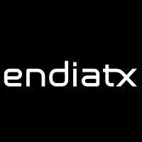 endiatx logo image