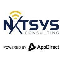 nxtsys consulting logo image