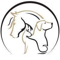 animal imaging - veterinary radiology logo image