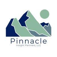 pinnacle insight partners, llc logo image