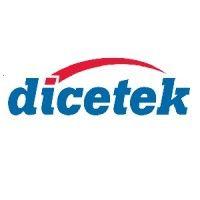 dicetek llc logo image