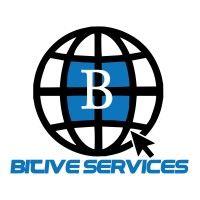 digital marketing agency in nigeria - bitive services logo image